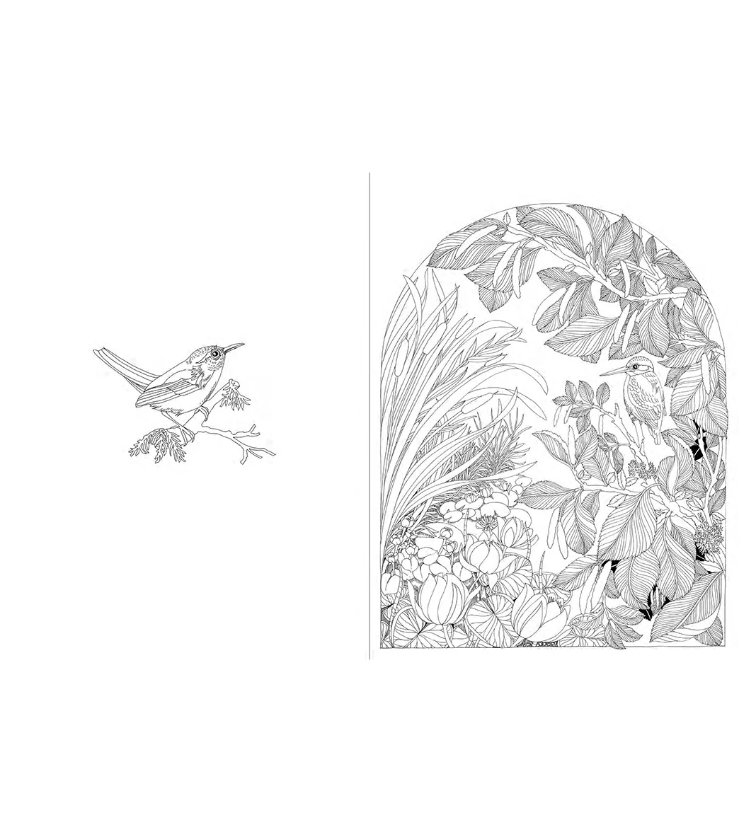 Abrams Books A Walk in the Woods Coloring Book - Image 3