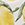 ALOHA Limoncello Mid Swim Pouch - Image 2