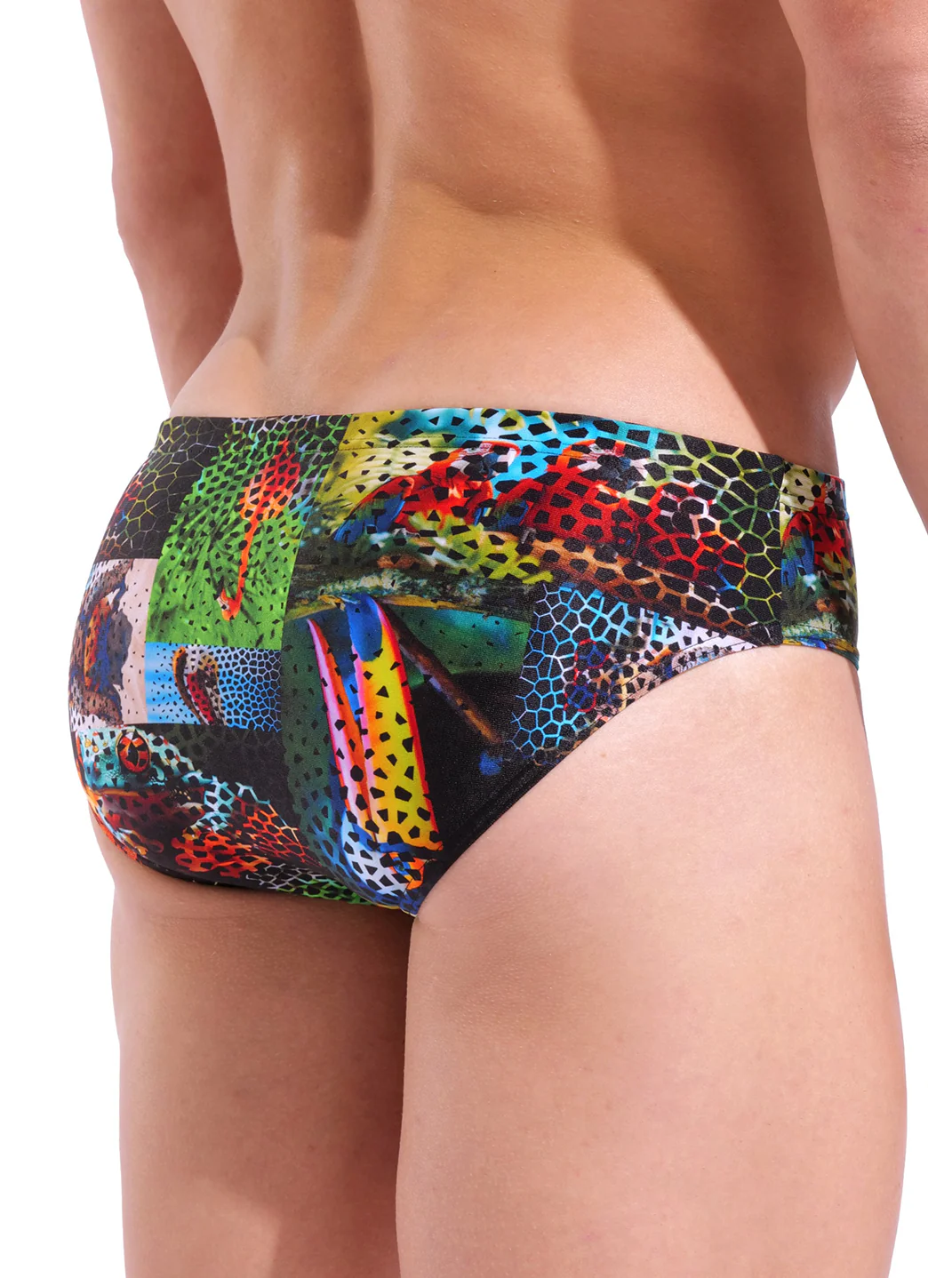 Arena Men's Animalier Brief Swimsuit - Image 7