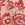 Billabong Women's Split Spirit Pant - Image 16
