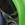 Blueseventy NR2 Goggle - Image 11