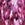 Dolfin Women's Aquashape Printed A-Line Swim Skirt - Image 6