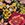 Johnny Was Women's Millo Halter Bikini Top - Image 7