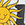 JOLYN Starshine Silicone Swim Cap - Image 4