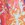 JOLYN Women's Jackson 4 Salazar One Piece Swimsuit - Image 5