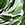 Maxine Women's Fronds With Flair Over The Shoulder One Piece Swimsuit - Image 6