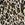 Maxine Women's Jungle Cat Empire Swim Dress - Image 3