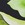 Next by Athena Women's W Palm Beach Midrise Bikini Bottom - Image 5