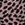 O'Neill Women's Steffi Dot Mina Tie Side Bikini Bottom - Image 4