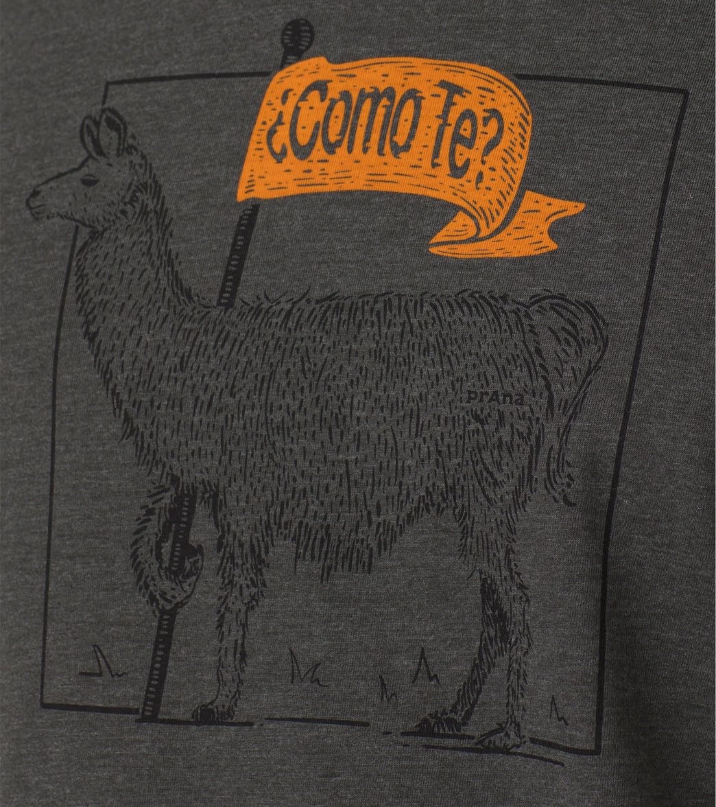 prAna Como Te Llama Journeyman 2 - Image 9