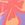 Rip Curl Women's Neon Isles Bralette Bikini Top - Image 9