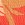 Roxy Women's Seaside Tropics Tie Side Bikini Bottom - Image 6