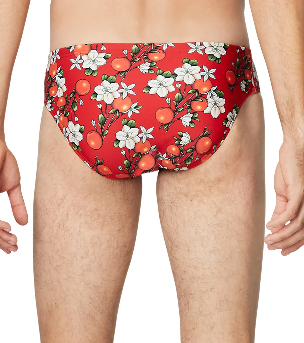 Speedo X Caeleb Dressel Men's Printed Brief Swimsuit - Image 2