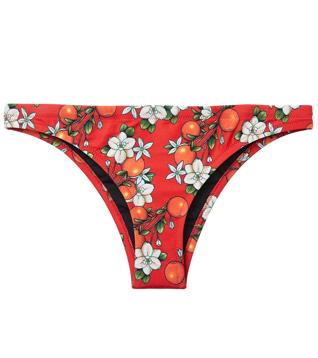 Speedo X Caeleb Dressel Women's Classic Swimsuit Bottom - Image 4