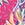 Sporti Active Floral Patchwork Swim Short Bottom - Image 7