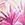 Sporti Plus Size Palm Royale Moderate Printed Sweetheart One Piece Swimsuit - Image 7