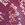 Sporti x Gretchen Walsh Desert Python Brief Swimsuit (26-40) - Image 10