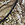 TYR Men's Realtree APX Durafast Elite Jammer Swimsuit - Image 8