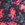 TYR Women's Spirit Fire Tetrafit One Piece Swimsuit - Image 6