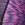 Zone3 Women's Activate+ Short Sleeve Full Zip Tri Suit - Image 13